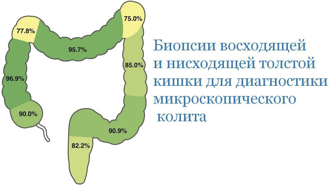 Лечение болезней желчного пузыря, поджелудочной железы