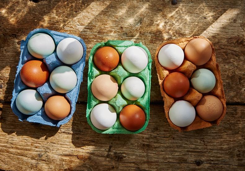 Slepičí vejce: výhody a poškození lidského těla