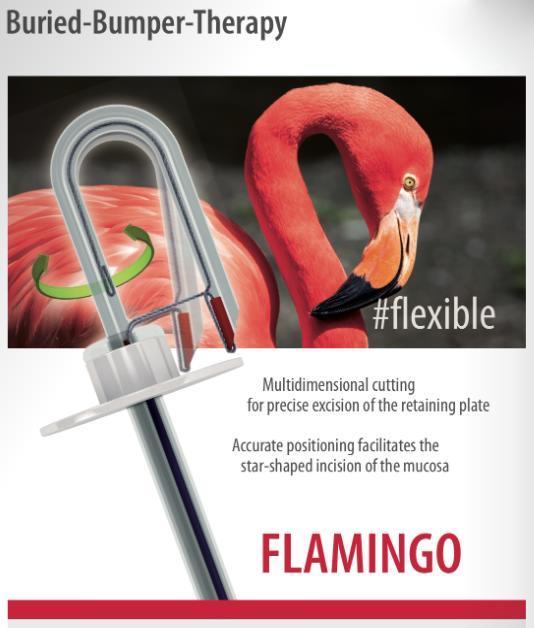 flamingo-kit_EndoExpert.ru.jpg