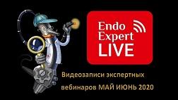 Видеозаписи экспертных вебинаров  за МАЙ - ИЮНЬ 2020 года, которые Вы можете смотреть в удобное время на EndoExpert.ru ! Полезного и приятного просмотра!