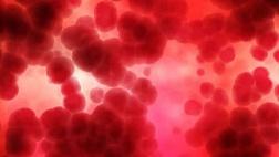 Ведение невариксного кровотечения из верхних отделов желудочно-кишечного тракта: руководящие рекомендации Международной консенсусной группы 2019 (Перевод последнего гайдлайна по кровотечениям)