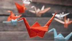 Международный день «Врачи мира за мир»