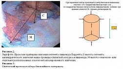 ИНДИКАТОРЫ КАЧЕСТВА РАБОТЫ ЭНДОСКОПИЧЕСКОГО ОТДЕЛЕНИЯ (КАБИНЕТА)