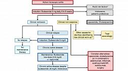 Клинические рекомендации по микроскопическому колиту от UEG/EMCG