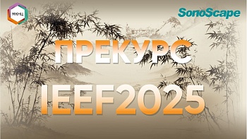 Прекурс IEEF 2025