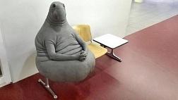 нижние отделы ЖКТ Атлас