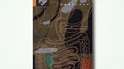 НОМИНАЦИЯ: TOP Комментаторы EndoExpert.ru