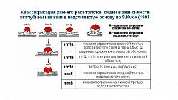 Классификация раннего рака толстой кишки в зависимости от глубины инвазии в подслизистую основу по Кудо (S.Kudo 1993)