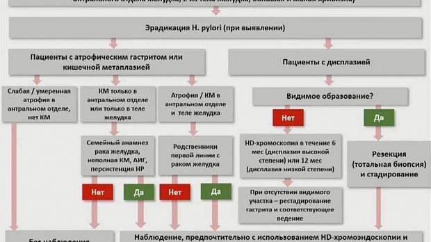 Маастрихт 6 рекомендации схемы эрадикации