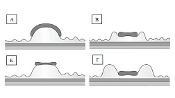 Классификация H. Kato для оценки степени лифтинга слизистой