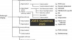 Рекомендации JGES по эндоскопической диагностике раннего рака желудка 2020