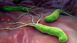Вакцина против Helicobacter pylori: миф или реальность?