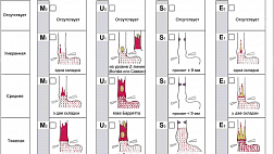 Классификация изменений пищевода "MUSE" система