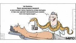 Она существует! Змея в желудке.. клинический случай 2020 (видео)