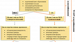 Классификация WASP: дифференциальная диагностика гиперпластических полипов, зубчатых аденом и обычных аденом толстой кишки