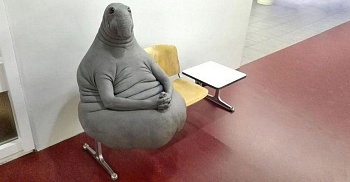 5-7 Ноября 2026 — 10-й Международный образовательный эндоскопический видео Форум. IEEF 2026