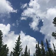 Анатолий  Бугров