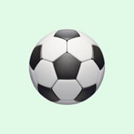 Евгений Александрович  Гинзбург