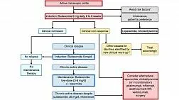 Клинические рекомендации по микроскопическому колиту от UEG/EMCG