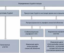 Новый эндоскопический алгоритм диагностики раннего рака желудка: протокол «4D»