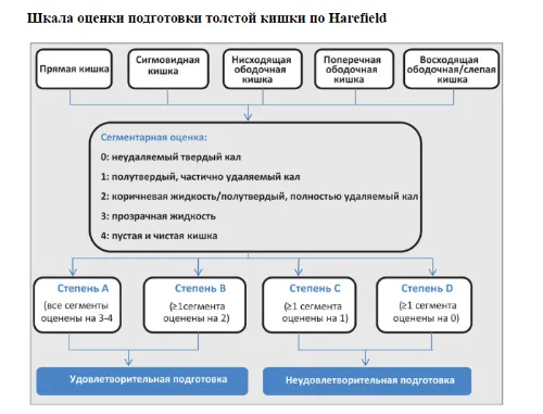 Эндоскопические классификации в колоноскопии