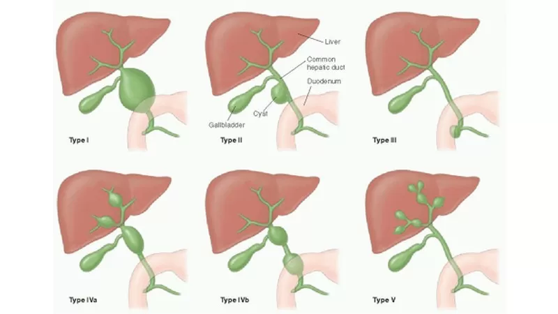 Әдемі жалаңаш қыздардың жоғары сапалы, жоғары ажыратымдылықтағы фотосуреттері