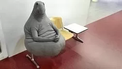 Эндоскопия тонкой кишки