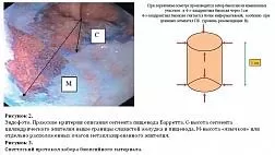 ИНДИКАТОРЫ КАЧЕСТВА РАБОТЫ ЭНДОСКОПИЧЕСКОГО ОТДЕЛЕНИЯ (КАБИНЕТА)