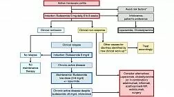 Клинические рекомендации по микроскопическому колиту от UEG/EMCG