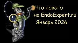 Актуальные материалы и события EndoExpert.ru — январь 2026