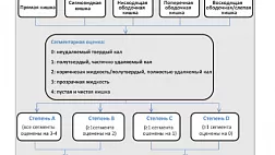 Шкала оценки подготовки толстой кишки по Harefield