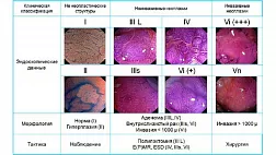Современные классификации в эндоскопии