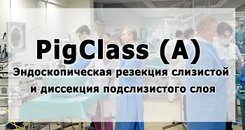 Тренинг "Эндоскопическая резекция слизистой и диссекция подслизистого слоя при новообразованиях желудка"