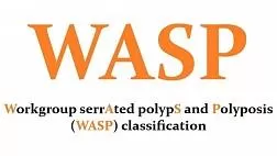 Классификация WASP: видео-практикум