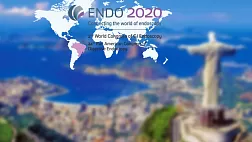 ENDO 2020
