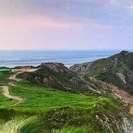 Александр Николаевич Чижов