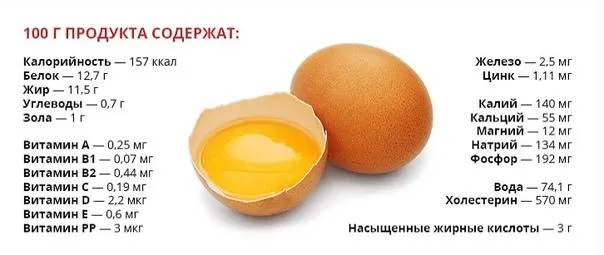 состав яйца