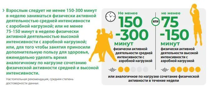 физическая активность взрослых